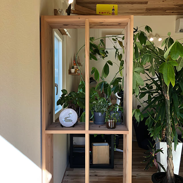 yasaigohanさんの部屋