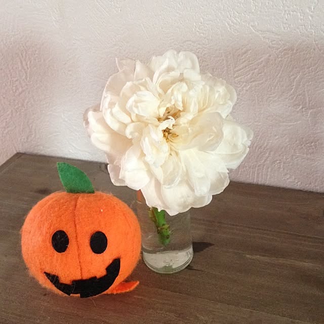 Link_Honeyさんの実例写真