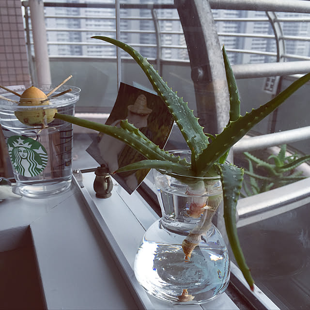 HKSさんの実例写真