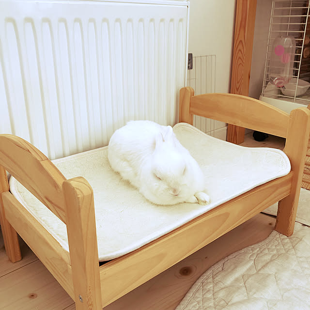 codemariさんの実例写真