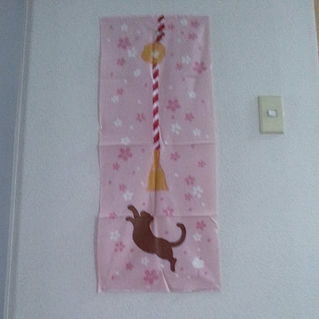loloさんの実例写真
