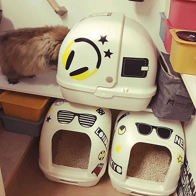 DANMIさんの実例写真