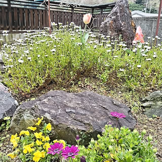 kuririnmamaさんの実例写真
