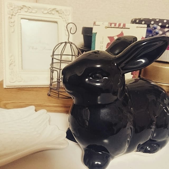 saeraさんの実例写真