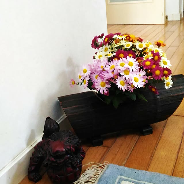 kikusukeさんの実例写真