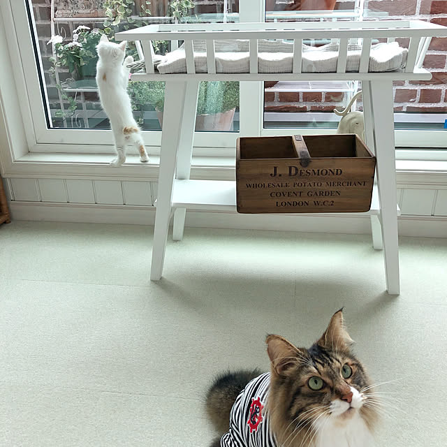 yuchiさんの実例写真