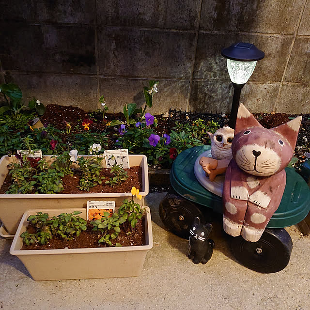 fukuさんの実例写真