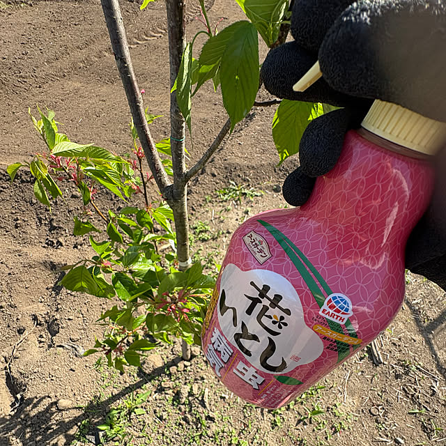 RYOさんの実例写真