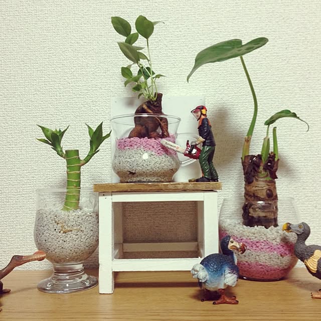 guanronさんの実例写真
