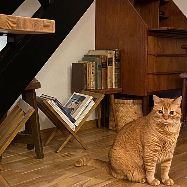 Hisashiさんの実例写真