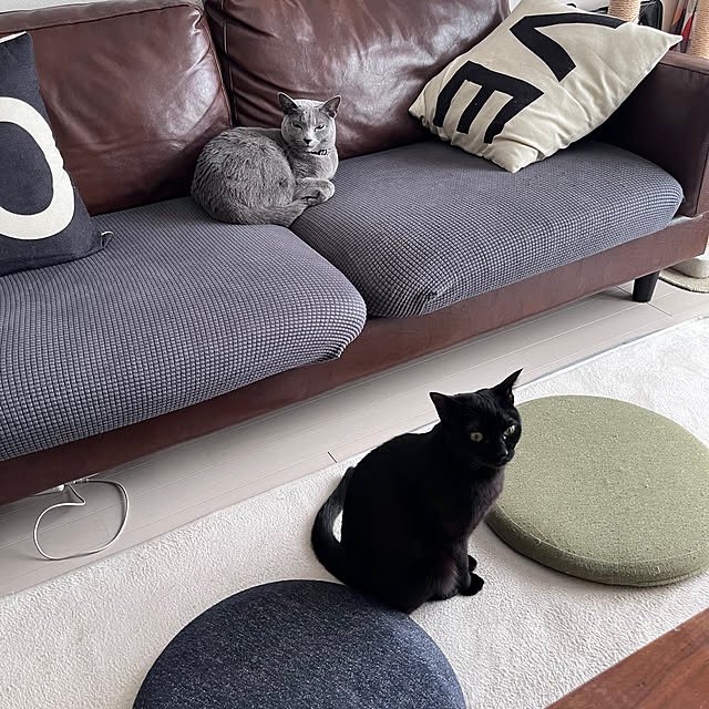 Norikongさんの部屋