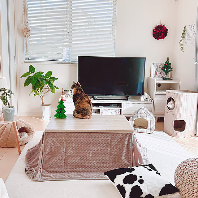 Miyu_さんの部屋