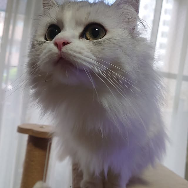 Yunaさんの部屋