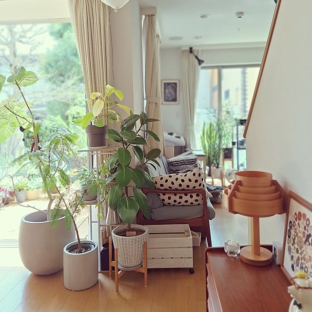 部屋全体/日の光/グリーンのある暮らし/こどもと暮らす/観葉植物のある暮らし...などのインテリア実例 - 2025-05-25 18:59:59