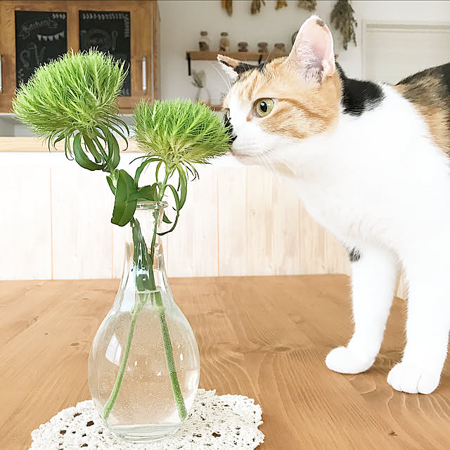 sayaka.さんの実例写真