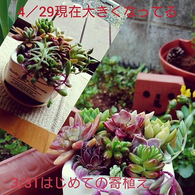 fukuさんの実例写真