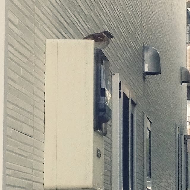 tomoさんの実例写真