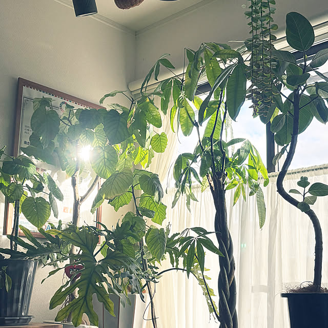 hirariさんの実例写真