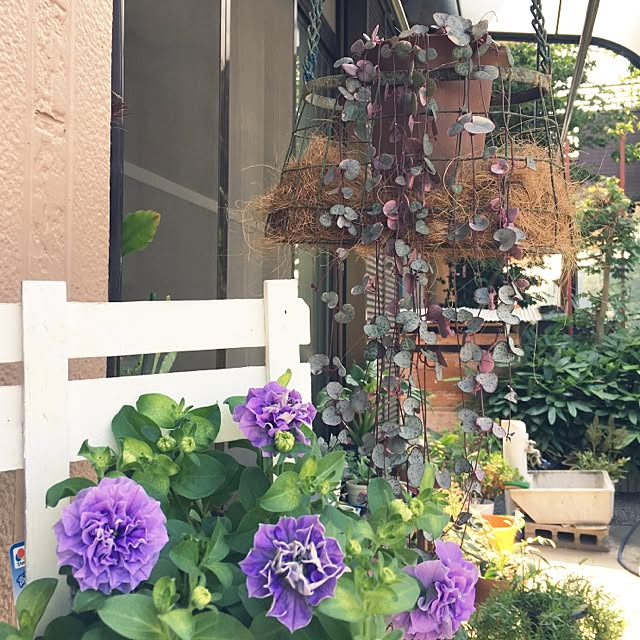niconさんの実例写真