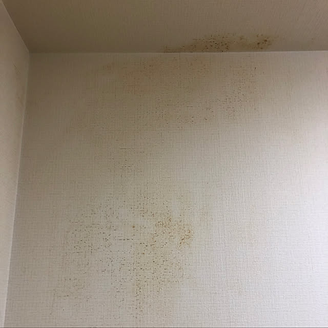 elekitel_kokiyuさんの実例写真