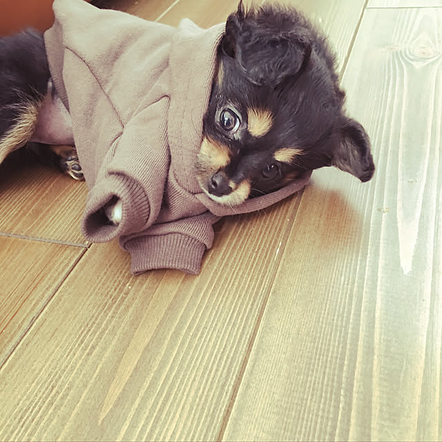 hashikaさんの実例写真