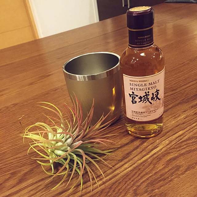 S-Tillandsiaさんの実例写真