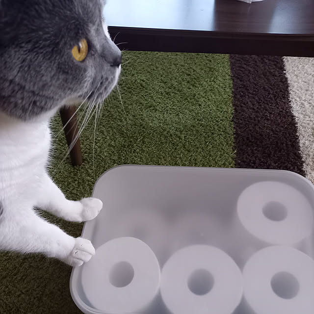 rhuさんの実例写真