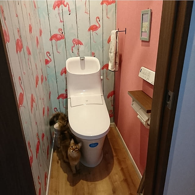 poniさんの実例写真