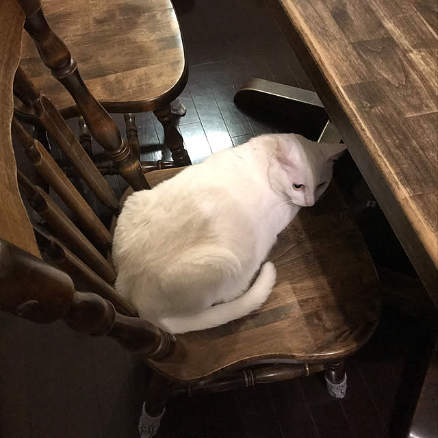 akuakuさんの実例写真
