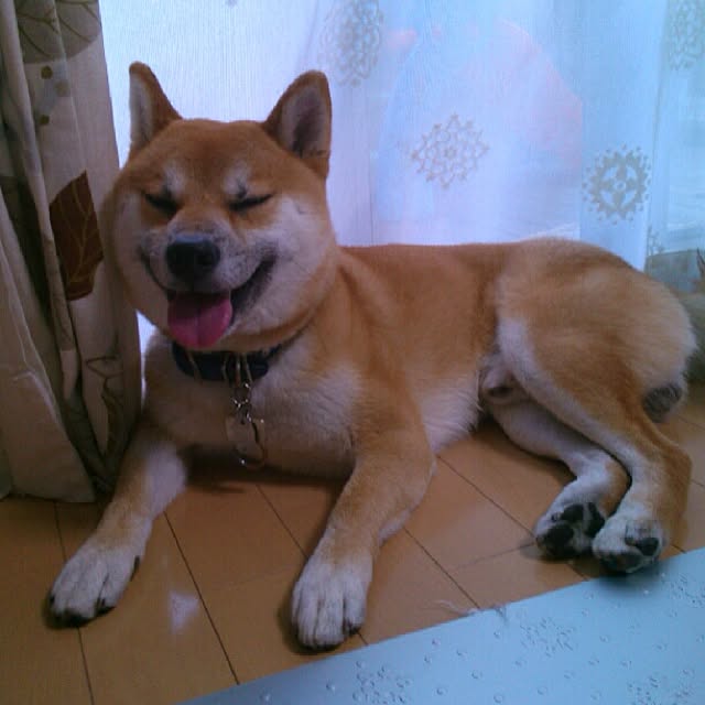 kotaさんの実例写真