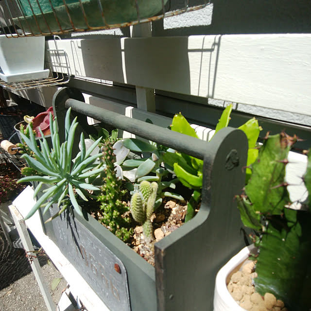 paruさんの実例写真