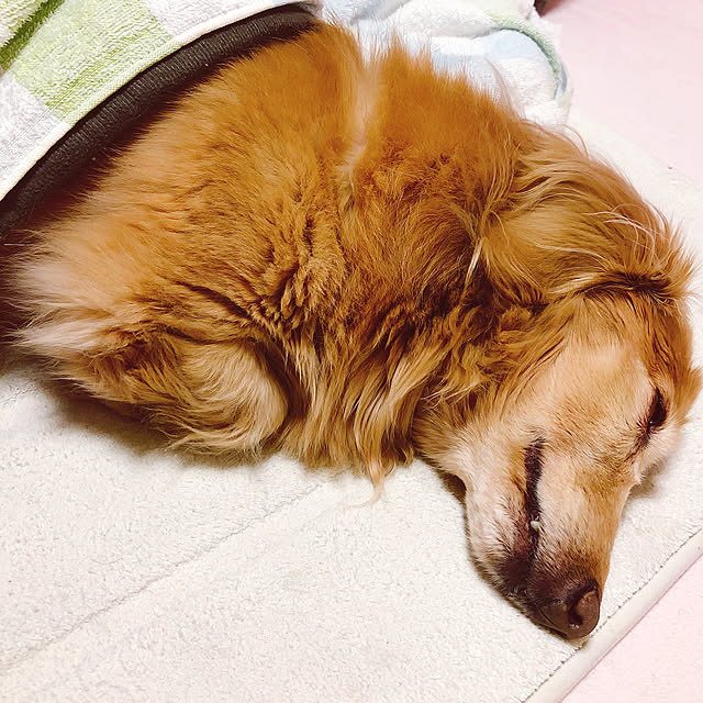 Yukaさんの実例写真