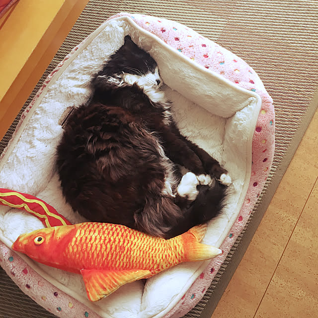 kanaさんの実例写真