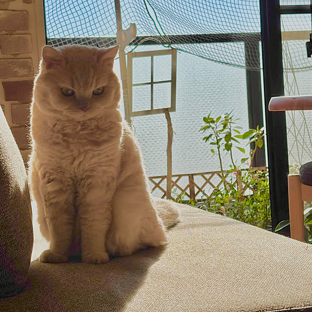 naokoさんの部屋