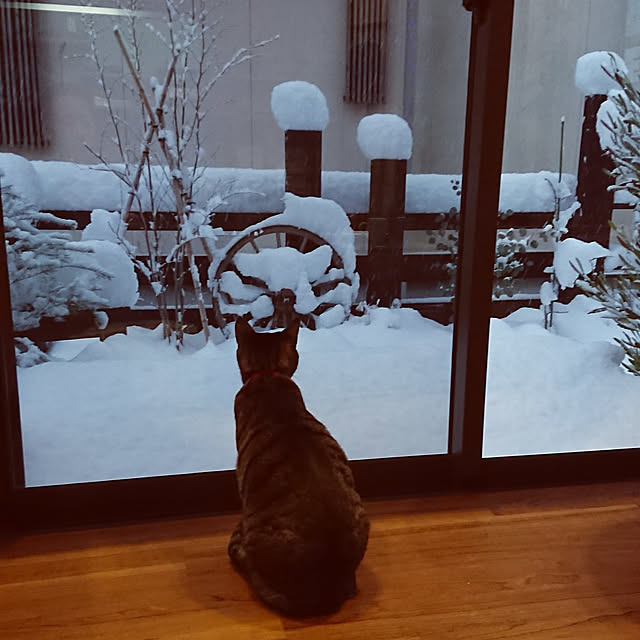 実例写真