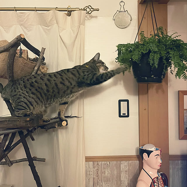 Mさんの実例写真