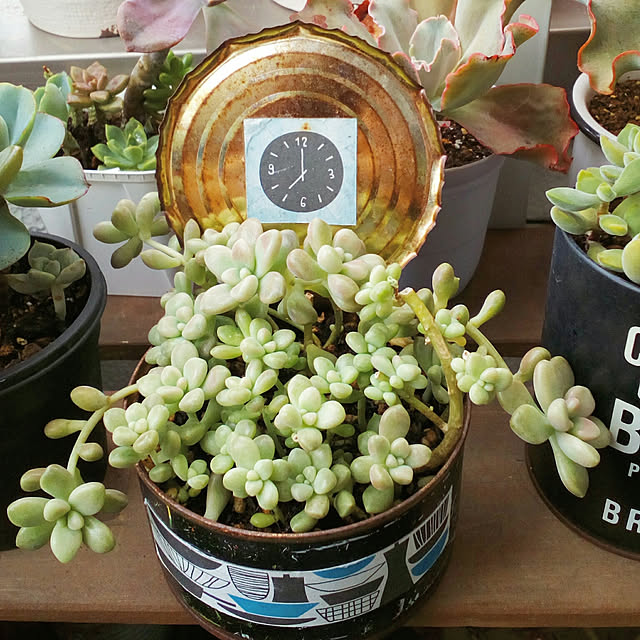 VERANDARJUNさんの実例写真