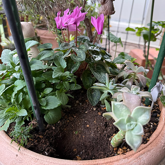 Aqettyさんの部屋