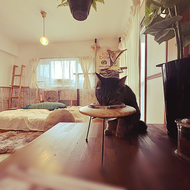Mさんの実例写真
