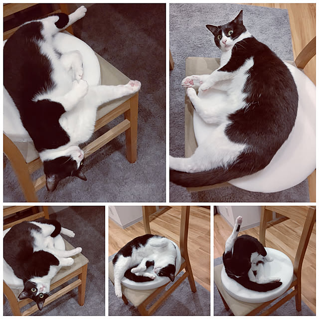 hihaさんの実例写真