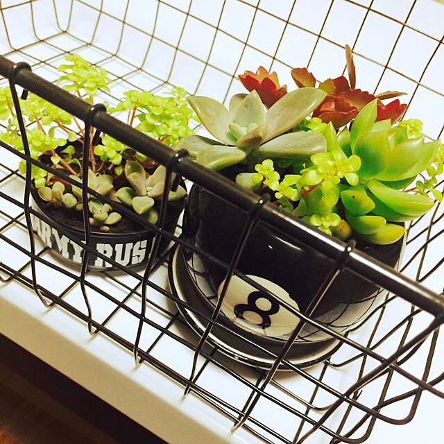 chimさんの実例写真