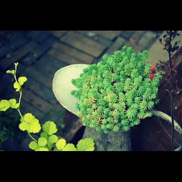 GreenWorksさんの実例写真