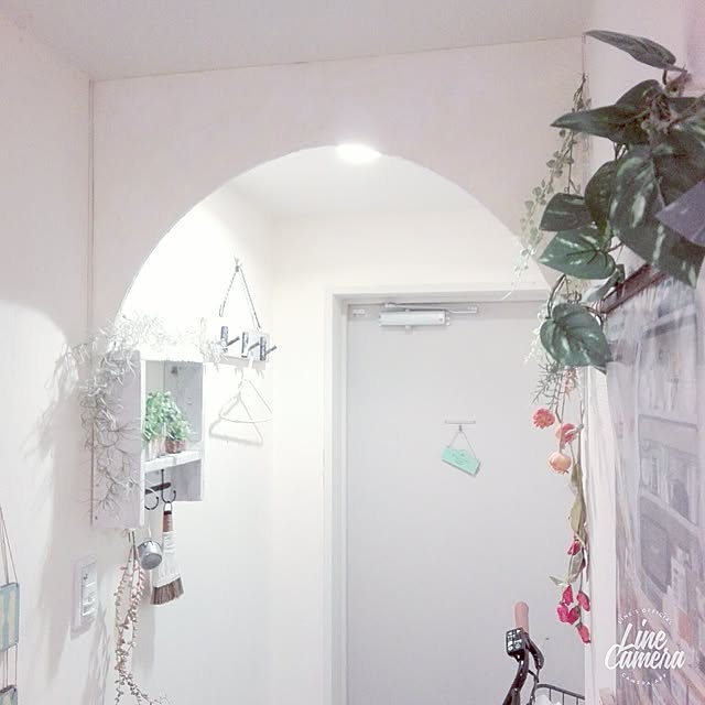 nonさんの実例写真