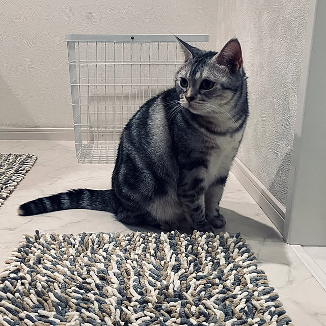 RARAさんの実例写真