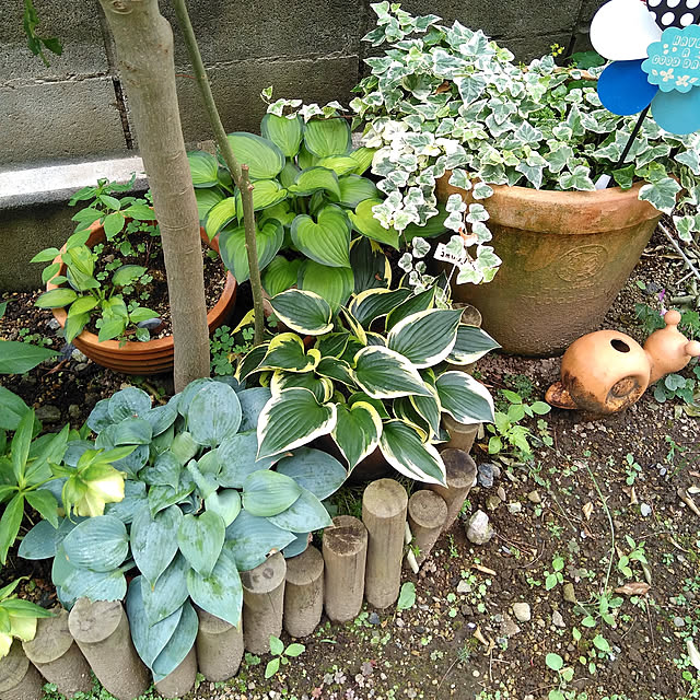 mintさんの実例写真