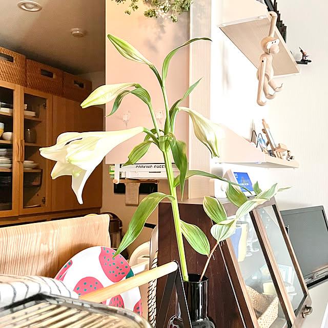 tantanmaruさんの部屋