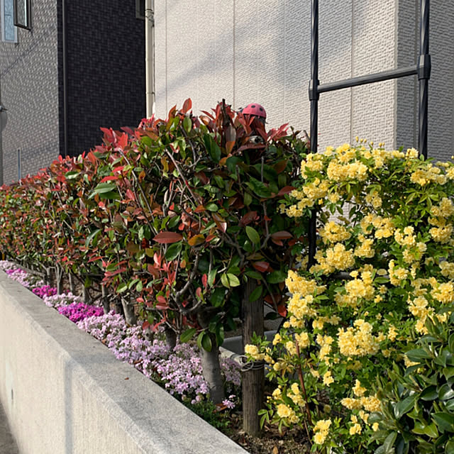 yukarin-gardenさんの部屋