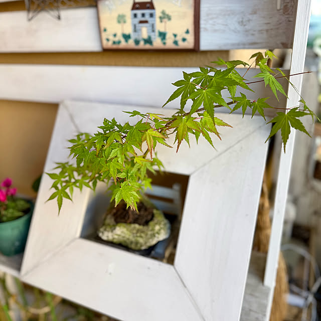 asako.10さんの実例写真