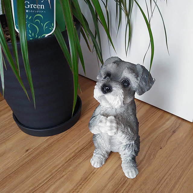 yoshiさんの実例写真