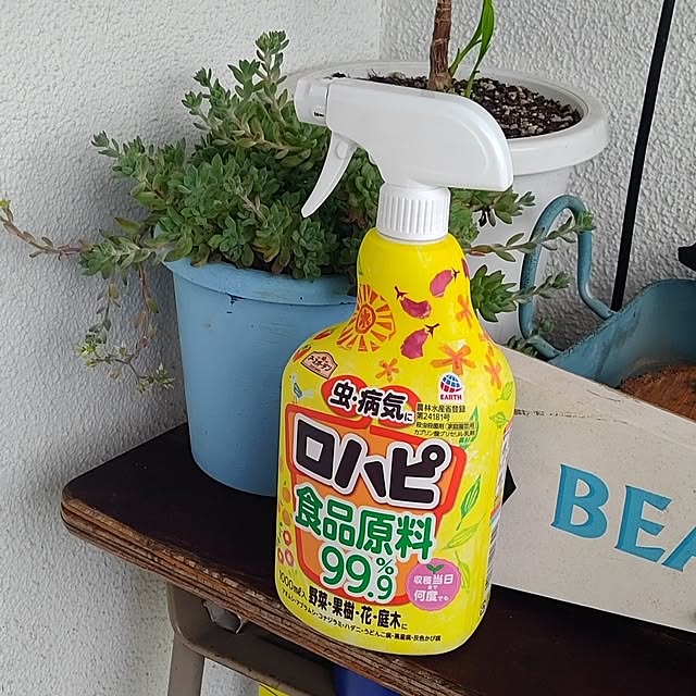壁/天井/ガーデニング/害虫対策/アースガーデン/野菜作り...などのインテリア実例 - 2025-05-20 18:18:59